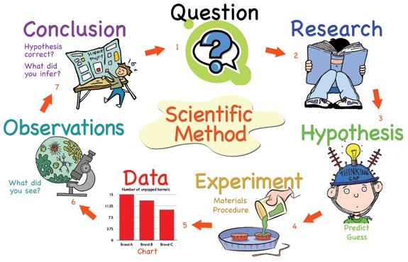 diagram of the scientific method